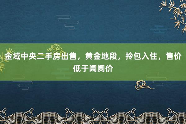 金域中央二手房出售，黄金地段，拎包入住，售价低于阛阓价